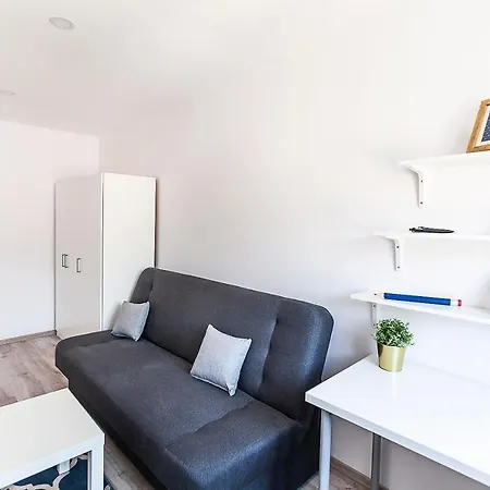 Penguin At Polnocna Street *